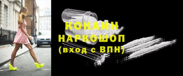 индика Ростов