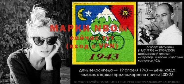 индика Ростов