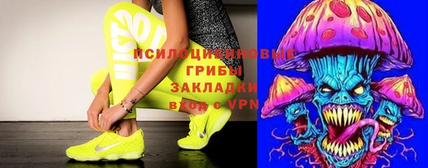 шишки Абдулино
