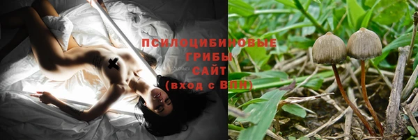 спиды Абинск