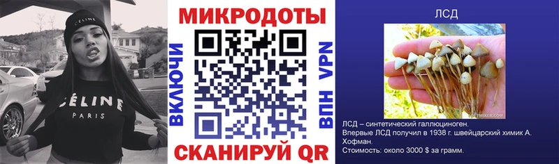 купить   Ладушкин  Галлюциногенные грибы Psilocybe 